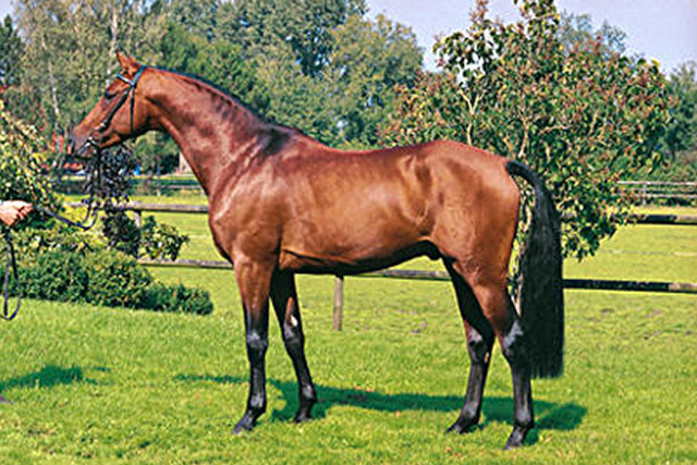 cayetano-1
