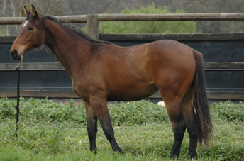quinnie1