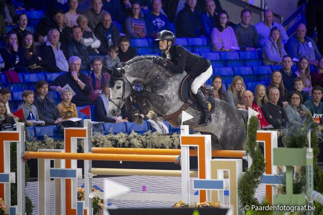 paard-20181227-ga61903