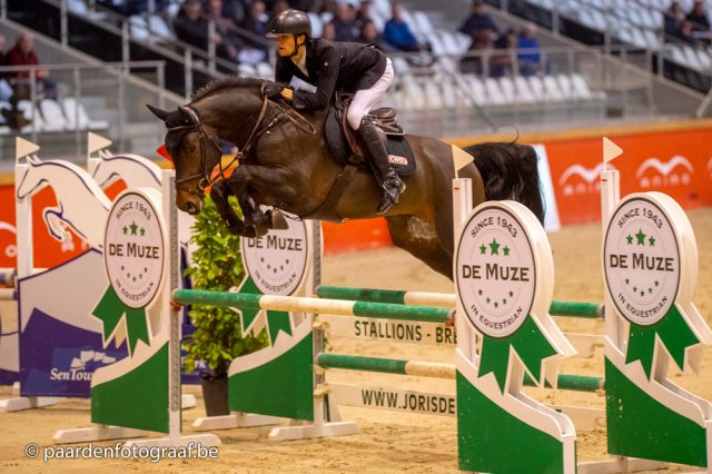 paard-20190316-ga67869-2